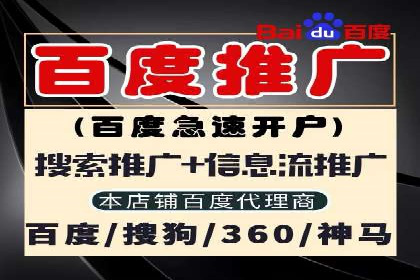 探索SEM竞价优化：成功企业的广告策略